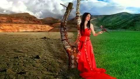 Thumbnail of Chris de Burgh  Lady in Red with lyrics)