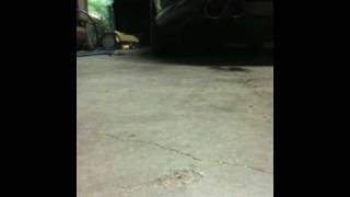 vy ls1 calais cammed