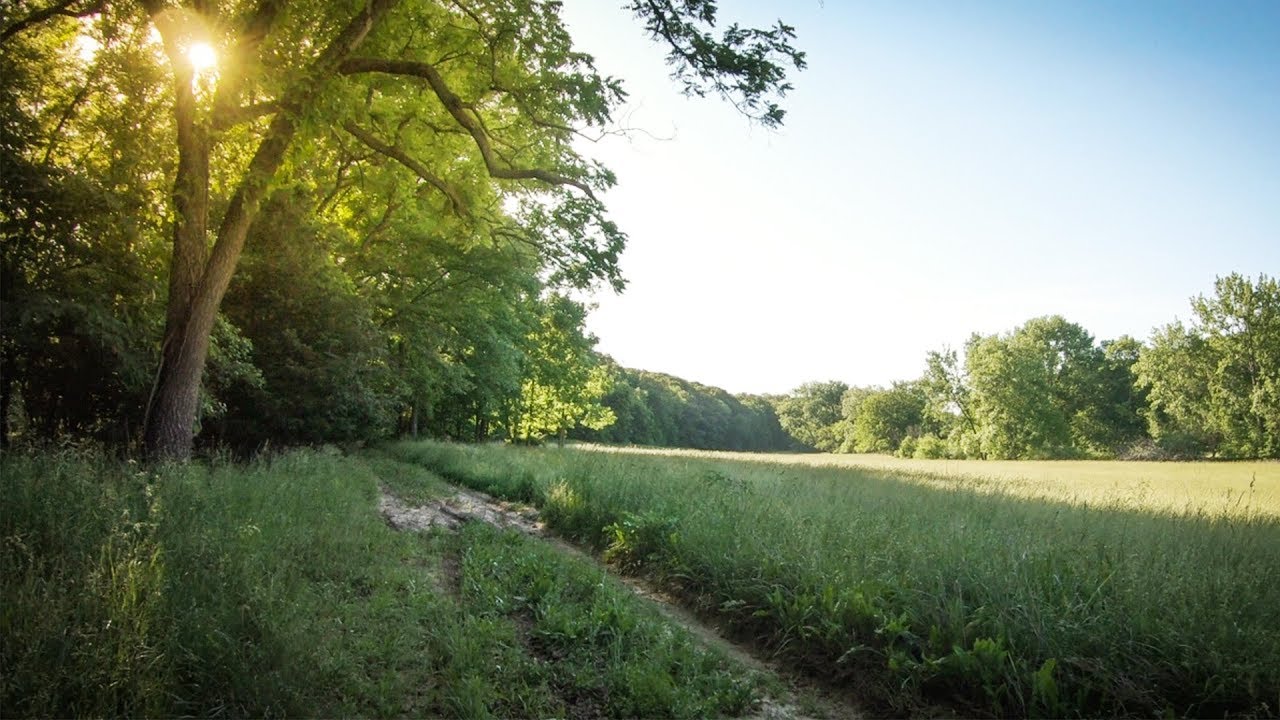 Breathtaking Acreage Close To Peoria For Sale YouTube