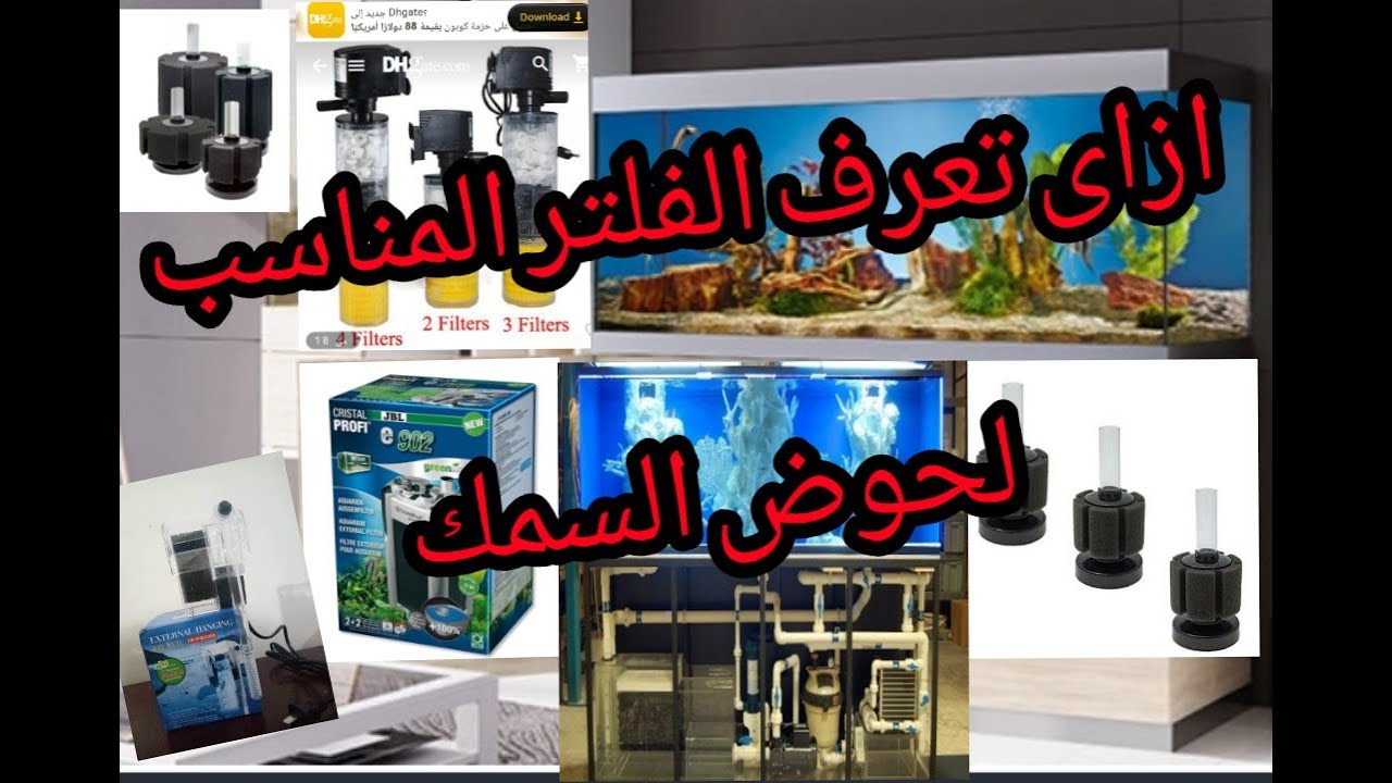 فلاتر احواض أسماك الزينة وأنواعها وكيفية إستخدامها ومعرفة الفلتر المناسب لحوض السمك