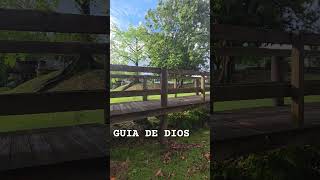 reflexiones de la vida #los5minutosdelespiritusanto #nature