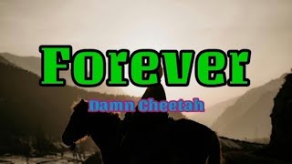 Forever  Damn Cheetah ballad updates