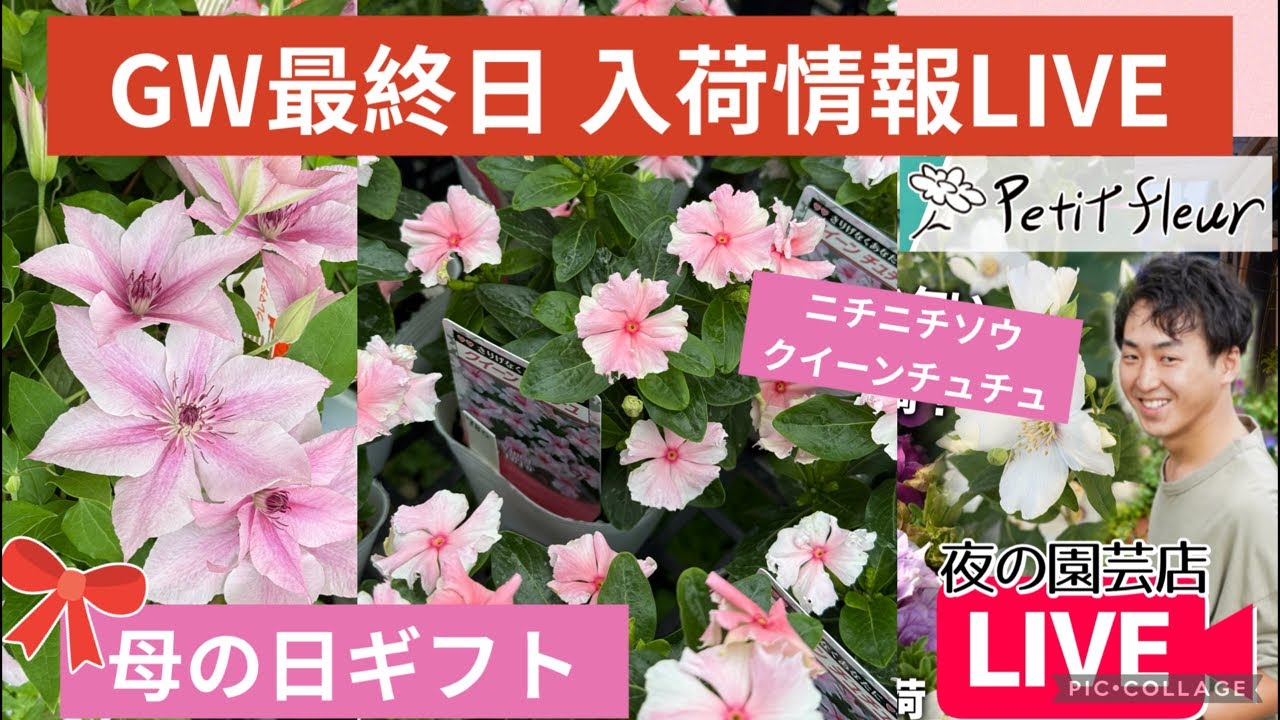 Gardening] Last day of Golden Week! New arrival information LIVE