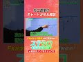 矢口真里のFXリアルチャート分析＆解説【スマサロFX】
