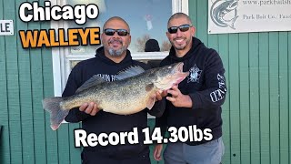 🔥CHICAGO 14.3LBS RECORD WALLEYE CAUGHT ON LAKE MICHIGAN🔥