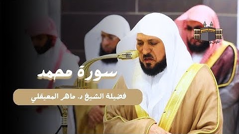 سورة محمد كاملة من المسجد الحرام للشيخ د. ماهر المعيقلي - تلاوة تجمع الهدوء والبكاء والخشوع 