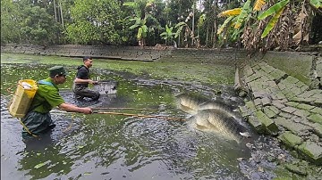 kích cá dúp dân hai ông cháu kích tàn cá khủng ẩn lấp trong bùn