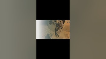 #cs #csgo #cs2 #gaming #faceit #csmoments #cs2moments #кс2