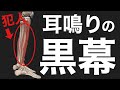 【たった1分】新事実‼︎耳鳴りの原因は耳ではなく『足』にあった!
