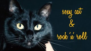 sexy cat and rock 'n' roll