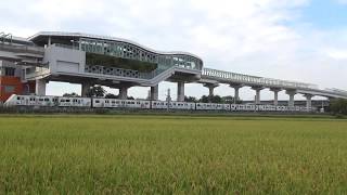 EMU800 臺鐵 2020.06.11 大慶站南稻香里山2.0 · 中捷並行【區間車2224次】