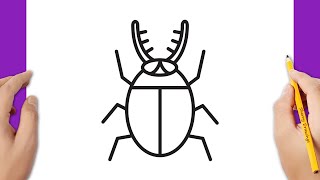 How to draw a beetle easy