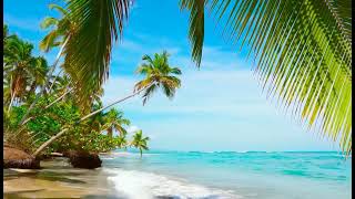 Download Lagu Oceanski valovi, prekrasna plaža, šum valova MP3 Download Lagu Oceanski valovi, prekrasna plaža, šum valova MP3