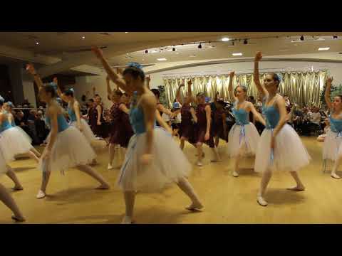 Le ballet de