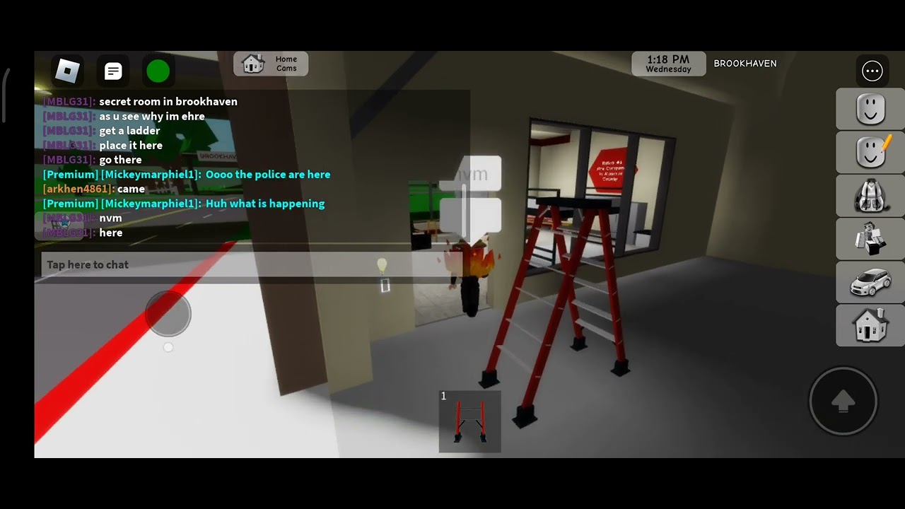Brookhaven secret room! (NEW) Check Desc Before Watching (SHOCKING