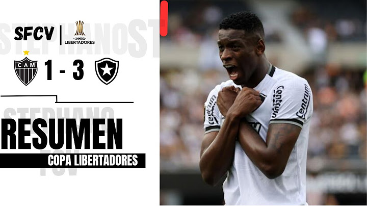 ¡CON 10 EL FOGAO GANO AL MINEIRO Y CAMPEONO LA LIBERTADORES! | Atl.Mineiro 1-3 Botafogo | Resumen