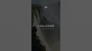 ٱللَّهُ خَٰلِقُ كُلِّ شَيۡءٖ | محمد عمران | سورة الزمر