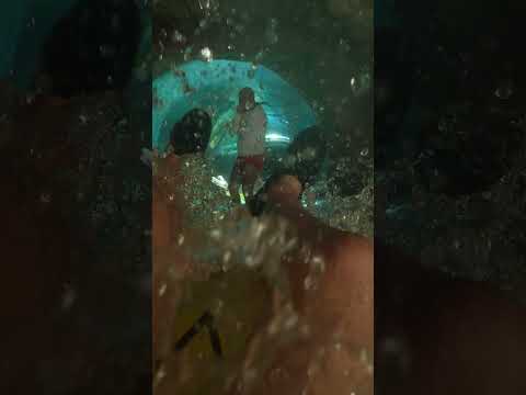 siam park lazy