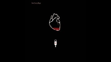 حالات واتس اب قرآن الكريم/ستوريات انستغرام قرآن الكريم ارح قلبك /تلاوه خاشعه طارق محمد