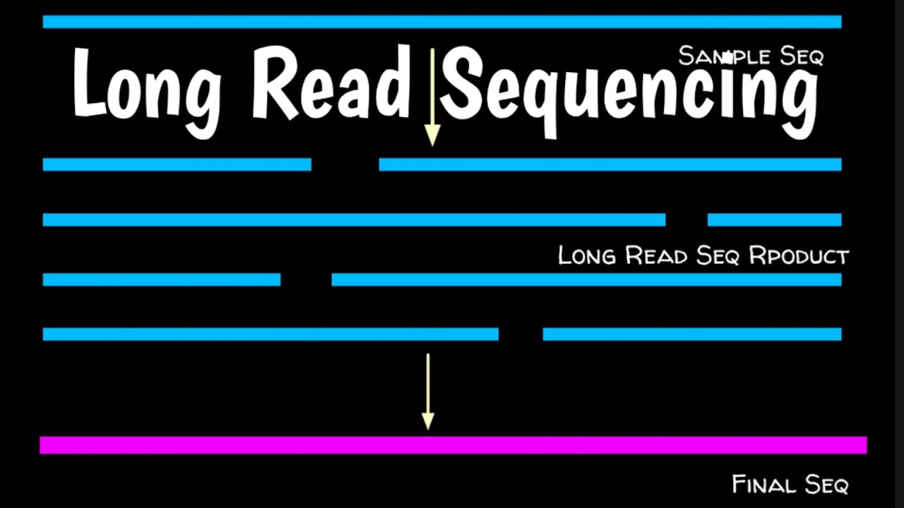 Long Read Sequencing | Long Read Sequencing | Third Generation ...