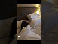 وتبغاني ما اعصب عليها جارالله العجمي حمدان