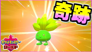 剣盾色違い反応まとめ11連発 孵化厳選やら野生で出会ったポケモンたち ポケモン剣盾 しろーん Mp3