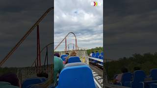 Racing wooden roller coasters are so much fun! #themepark #rollercoaster #shorts