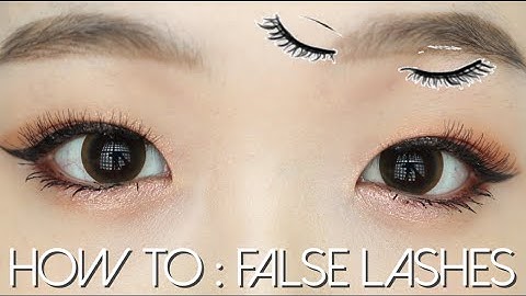 HOW TO: False Lashes | 속눈썹 붙이기 팁