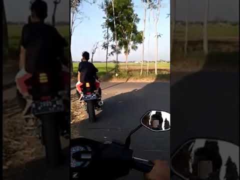 Dj nella karisma bisane mung nyawang