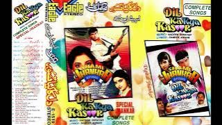 MERA SANAM SAB SE PYARA HAI (Kumar Sanu, Asha) Dil Ka Kya Kasoor