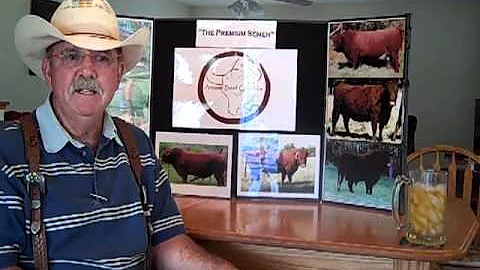 Commentary on Linear Measuring cattle - Gearld Fry...