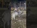 MARIO SEGURA🆚DUEÑO DEL PALENQUE🐂