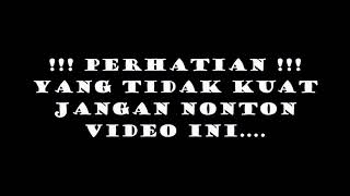 Bintang Disurga... versi balonku X cicak didinding