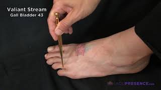 Gall Bladder 43 | Valiant Stream | AcuPresence® Point Location Series