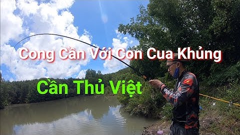 TRAILER Câu Cá Đầm Nước Mặn Thu hoạch Tôm Cua Cá Quá Phê
