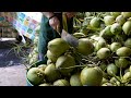 Making Juice from a lot of Coconuts | Thai Street Food