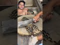Prophet (SM) #food #crab #seafood #cooking #shortvideo #waz