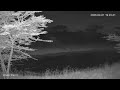 🔴 LIVE African Safari | 6 Maasai Mara Wildlife Cameras | Kenya 24/7