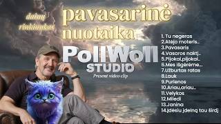 'Pavasarinė nuotaika '(dainų rinkinys). Tekstas mano..,muzika:Suno ai...