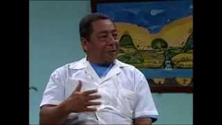 Uso medicinal de la albahaca