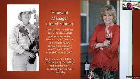 STARS of Wine Interviews | Ian Blackburn with Lind...