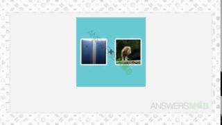 Pictoword Level 55 Answer - AnswersMob com