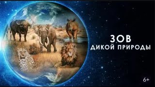 ЧУДЕСА ГОЛУБОЙ ПЛАНЕТЫ!  Зов дикой природы.  СЕМЕЙНЫЙ КАНАЛ
