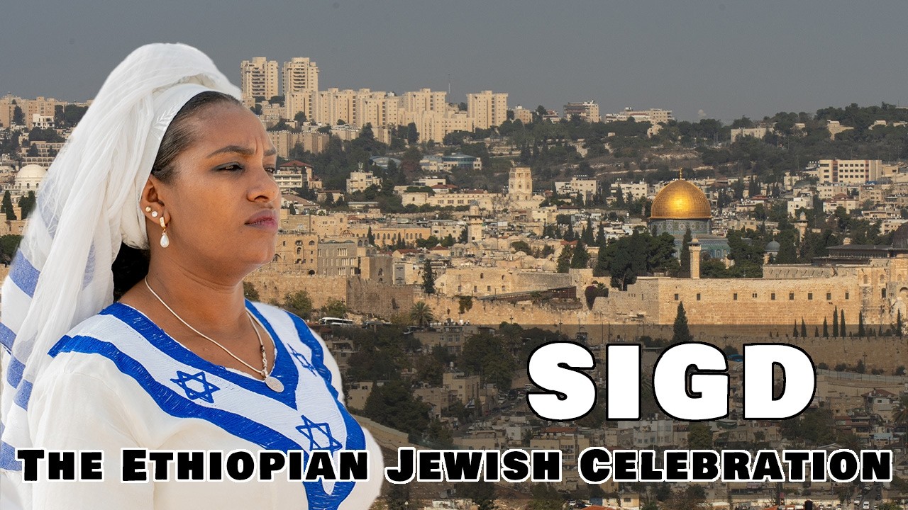 SIGD: они ждали 2000 лет, чтобы вернуться домой, и вот они здесь.