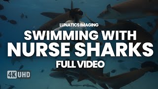 Swimming With Nurse Sharks | Diving Maafushi Maldives 2023 | 4K Sony FX3 Underwater