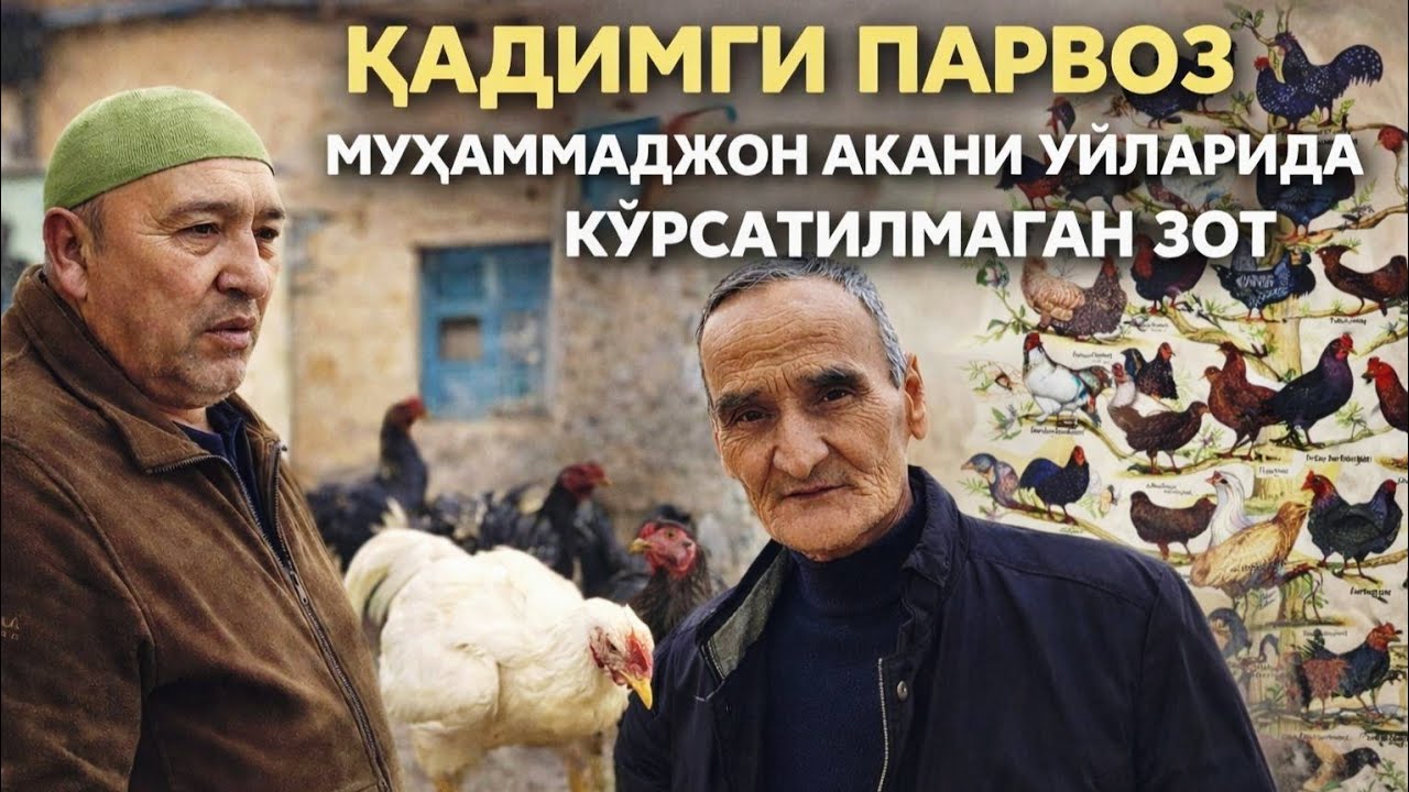 ДАХШАТ МАН ШОКДАМАН КУРСАТИЛМАГАН ТОЗА ЗОТЛАР СИРЛАРИ ФОШ БУЛДИ