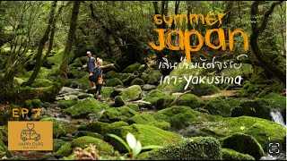 เที่ยวญี่ปุ่น พาตะลุยป่าดึกดำบรรพ์ unesco ที่ เกาะ yakushima