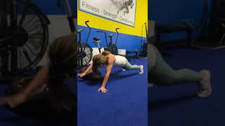 Sandbag Plank Pull Through