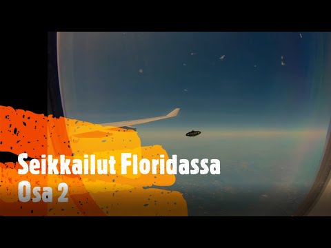 Video: Mikä on Floridan ammatti- tai ammattilisenssi?