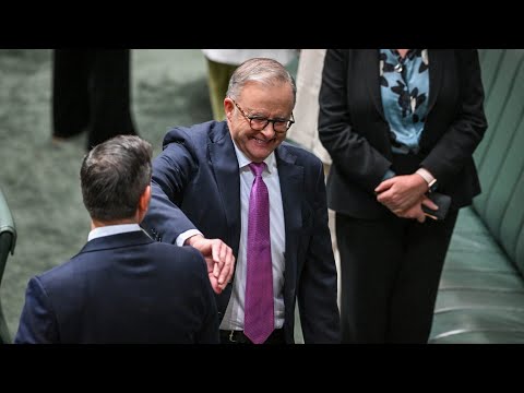 Labor’s ‘record levels’ of immigration puts strain on the housing market